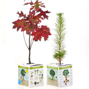 coffret programme l-arbre a l-ecole